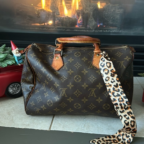 Louis Vuitton Handbags - ‼️Price Drop‼️Louis Vuitton Monogram Speedy